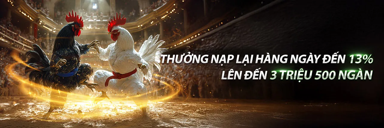 Đá Gà Trực Tiếp Thomo Hôm Nay – Sân Đấu Kịch Tính