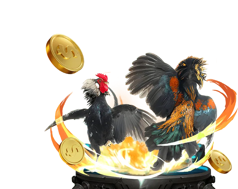 Tổng hợp tài nguyên đá gà trực tiếp hôm nay có bình luận